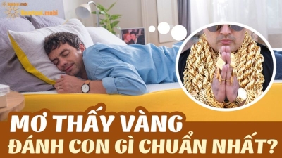 Nằm mơ thấy vàng đánh đề con gì? Giải mã chiêm bao thấy vàng