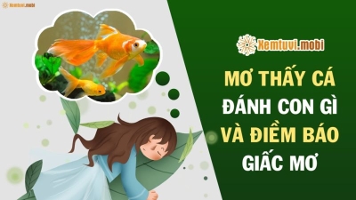 Mơ bắt được cá đánh con gì? Giải mã giấc mơ chính xác nhất